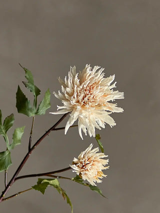 Kunstbloem chrysant wit Nature 80 cm van Bloomingville, toegepast in een sfeervolle interieursetting