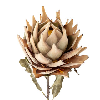 Kunstbloem Protea nature 76cm van Bloomingville, aan de achterzijde met afwerking zichtbaar