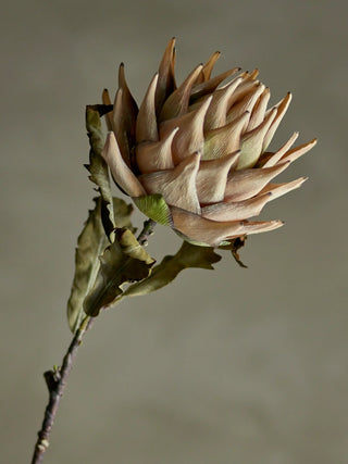 Kunstbloem Protea nature 76cm van Bloomingville, toegepast in een sfeervolle interieursetting