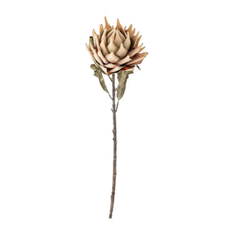 Kunstbloem Protea nature 76cm van Bloomingville, duidelijk als hoofdfoto afgebeeld