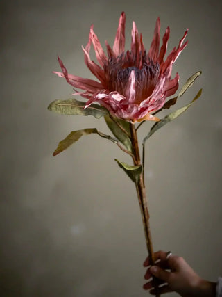 Kunstbloem roze protea van Bloomingville, in een gestileerde detailopstelling