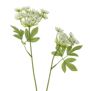 Kunstbloem venkel wit Fennel 66 cm van Bloomingville, duidelijk als hoofdfoto afgebeeld