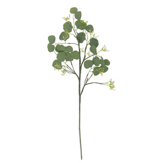 Kunsttak groen eucalyptus 82cm van Bloomingville, duidelijk als hoofdfoto afgebeeld