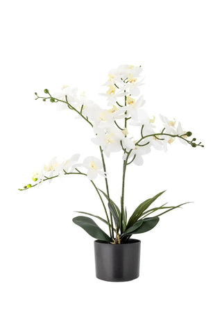 Orchidee Kunstplant groen 84cm van Bloomingville, duidelijk als hoofdfoto afgebeeld