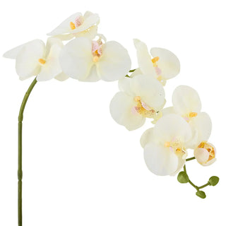 Orchideetak kunstbloem wit van Bloomingville, duidelijk als hoofdfoto afgebeeld