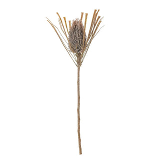 Palmflower bruin van Bloomingville, van bovenaf met vorm en indeling zichtbaar