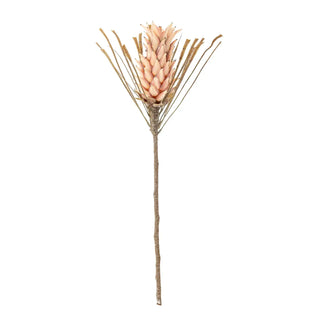 Palmflower rose van Bloomingville, van bovenaf met vorm en indeling zichtbaar