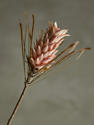 Palmflower rose van Bloomingville, toegepast in een sfeervolle interieursetting