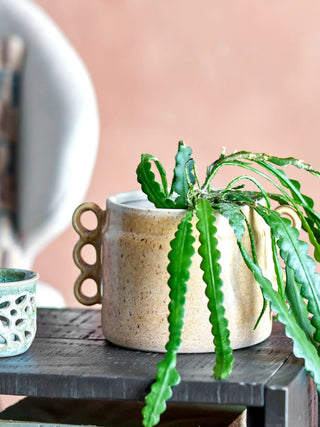 Souri bloempot met groene plant op een donkere tafel