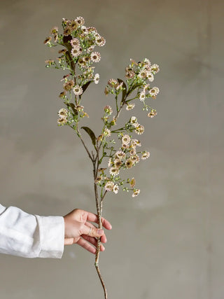Waxflower bloementak wit van Bloomingville, in een gestileerde detailopstelling