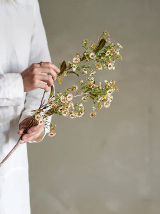 Waxflower bloementak wit van Bloomingville, toegepast in een sfeervolle interieursetting