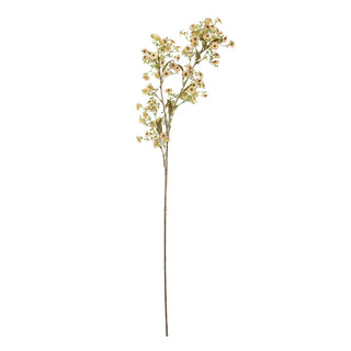 Waxflower bloementak wit van Bloomingville, duidelijk als hoofdfoto afgebeeld