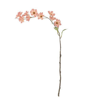 Wilde kersen tak roze van Bloomingville, duidelijk als hoofdfoto afgebeeld
