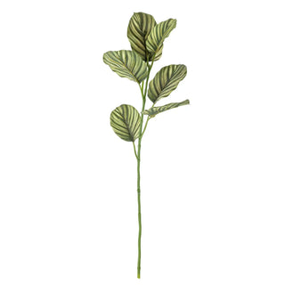 Zebrablad kunstbloem groen van Bloomingville, schuin bekeken met vorm en afwerking zichtbaar