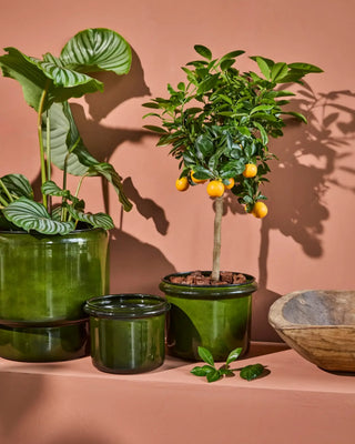 Bloempot Hoop groen - set van 2 van House Doctor, toegepast in een sfeervolle interieursetting