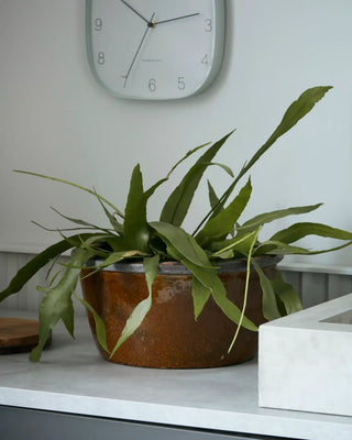 Bloempot Whai mosterdgeel aardewerk 37cm van House Doctor, toegepast in een sfeervolle interieursetting