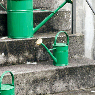 Regadera Wan verde 2 litros - Het Adres