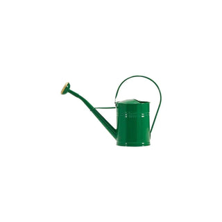Regadera Wan verde 2 litros - Het Adres