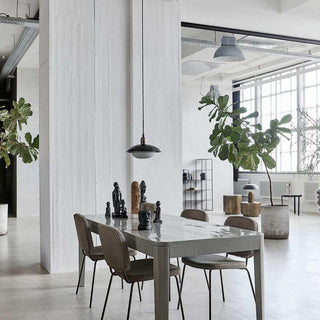 Grijze eettafel met stoelen en decoratieve beeldjes in lichte woonruimte met planten