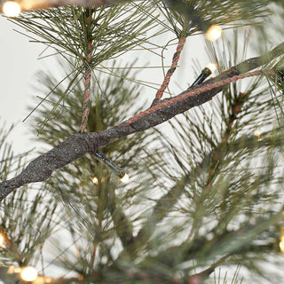 Weihnachtsbaum Peuce natur 125cm - Het Adres