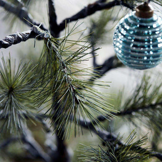 Weihnachtsbaum Peuce natur 125cm - Het Adres