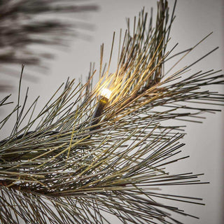 Weihnachtsbaum Peuce natur 150cm - Het Adres