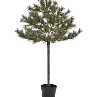 Weihnachtsbaum Peuce natur 150cm - Het Adres