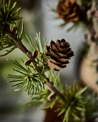 Kerstboom Stay groen 40cm van House Doctor, in een gestileerde detailopstelling