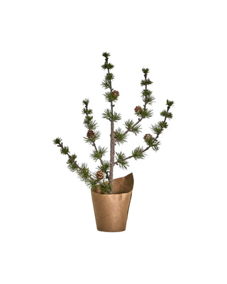 Kerstboom Stay groen 40cm van House Doctor, duidelijk als hoofdfoto afgebeeld