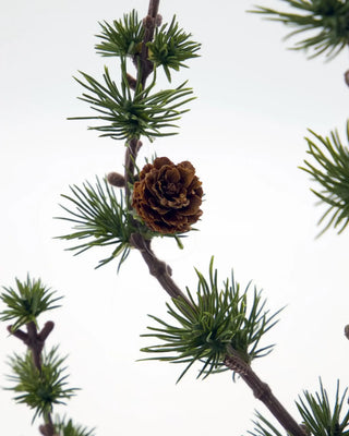 Kerstboom Stay groen 50cm van House Doctor, van dichtbij met materiaal en afwerking zichtbaar