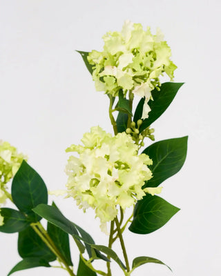 Kunstbloem Crepe groen van House Doctor, schuin bekeken met vorm en afwerking zichtbaar