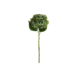 Kunstbloem Hydrangea groen van House Doctor, duidelijk als hoofdfoto afgebeeld