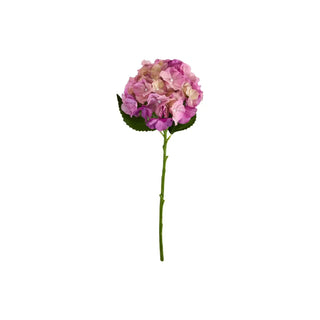 Kunstbloem Hydrangea rood van House Doctor, duidelijk als hoofdfoto afgebeeld