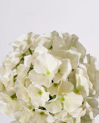 kunstbloem Hydrangea wit van House Doctor, van dichtbij met materiaal en afwerking zichtbaar
