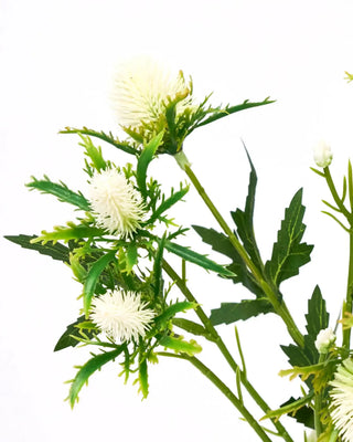 Kunsttak eryngium wit van House Doctor, schuin bekeken met vorm en afwerking zichtbaar