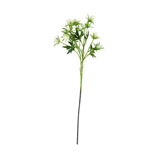 Kunsttak eryngium wit van House Doctor, duidelijk als hoofdfoto afgebeeld