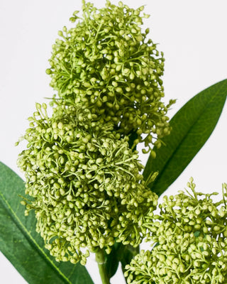 Kunsttak Skimmia groen van House Doctor, van dichtbij met materiaal en afwerking zichtbaar