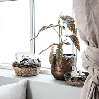 Begonia plant in perforate bronzen pot op vensterbank met rieten mandjes en accessoires