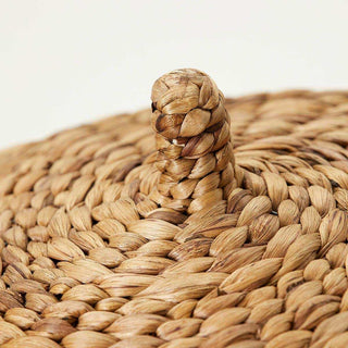 Geweven rieten mand met handvat, natuurlijke kleur en textuur voor woondecoratie