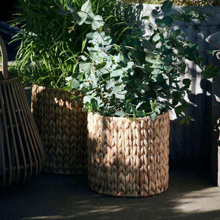 Gevlochten rieten plantenbak met eucalyptus en groene planten, natuurlijke decoratie voor binnen of buiten