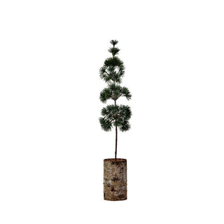House Doctor tafelkerstboom Pine groen 60 cm volledig op witte vierkante achtergrond
