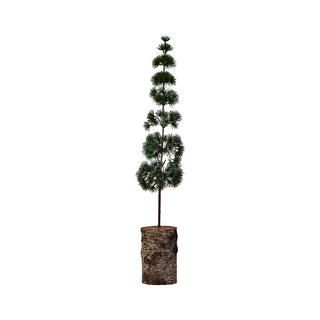 House Doctor tafelkerstboom Pine groen 80 cm volledig op witte vierkante achtergrond