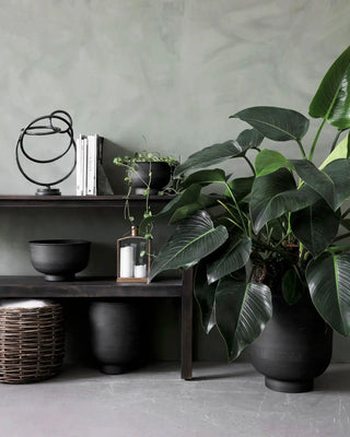 Planten Vig Grijs 40cm - set van 2 van House Doctor, in een gestileerde detailopstelling