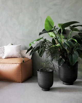 Planten Vig Grijs 40cm - set van 2 van House Doctor, toegepast in een sfeervolle interieursetting