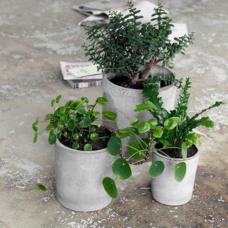 Pot Ave gris clair - lot de 3 pièces - Het Adres