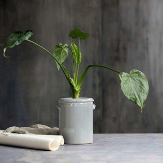 Vaso Pottery grigio chiaro 24cm - Het Adres