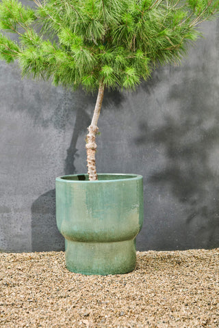 Groene Terra bloempot met een kleine boom, geplaatst op grind voor een grijze wand