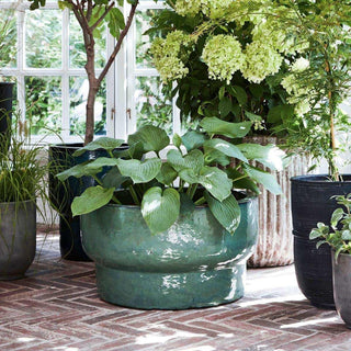 House Doctor Terra plantenpot met hosta tussen diverse potten in een lichte serre