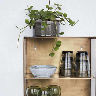 Detail van messingkleurige wandvitrine met schalen, gestapelde glazen en hangplant erboven