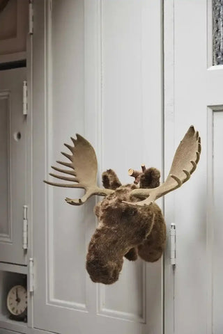 Eland hoofd 46cm van House of Nature, toegepast in een sfeervolle interieursetting
